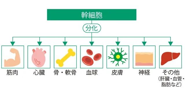 微信图片_20231110141240.jpg